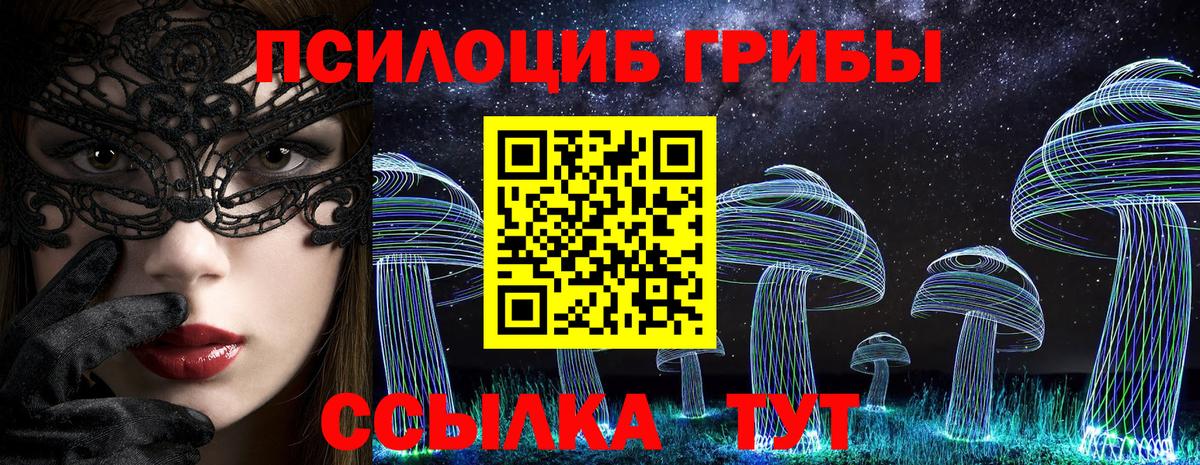 Улан-Удэ  Псилоцибиновые грибы мицелий  продажа наркотиков  Вход с VPN  Псилоцибиновые грибы Cubensis 